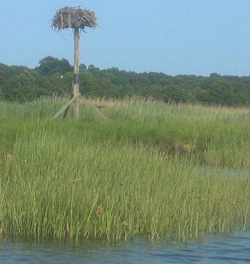 Waccamaw Lady Plantation River Tours