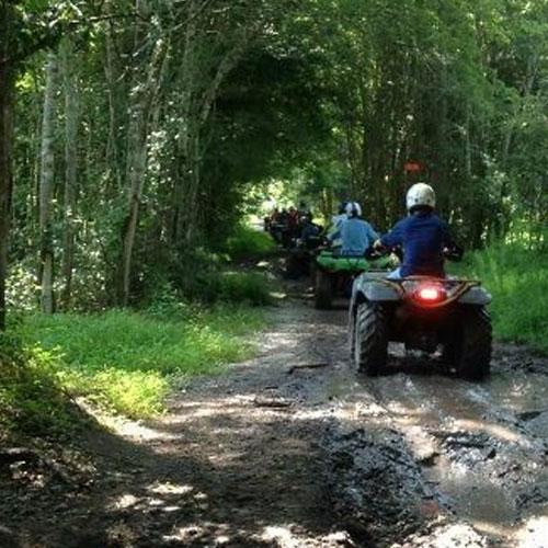 Carolina Backwoods ATV Adventure Tours