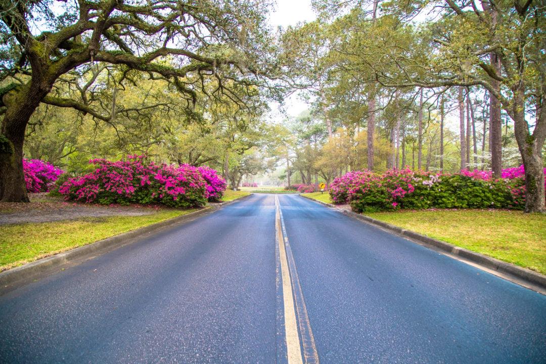 Brookgreen Gardens Memorial Day 5k