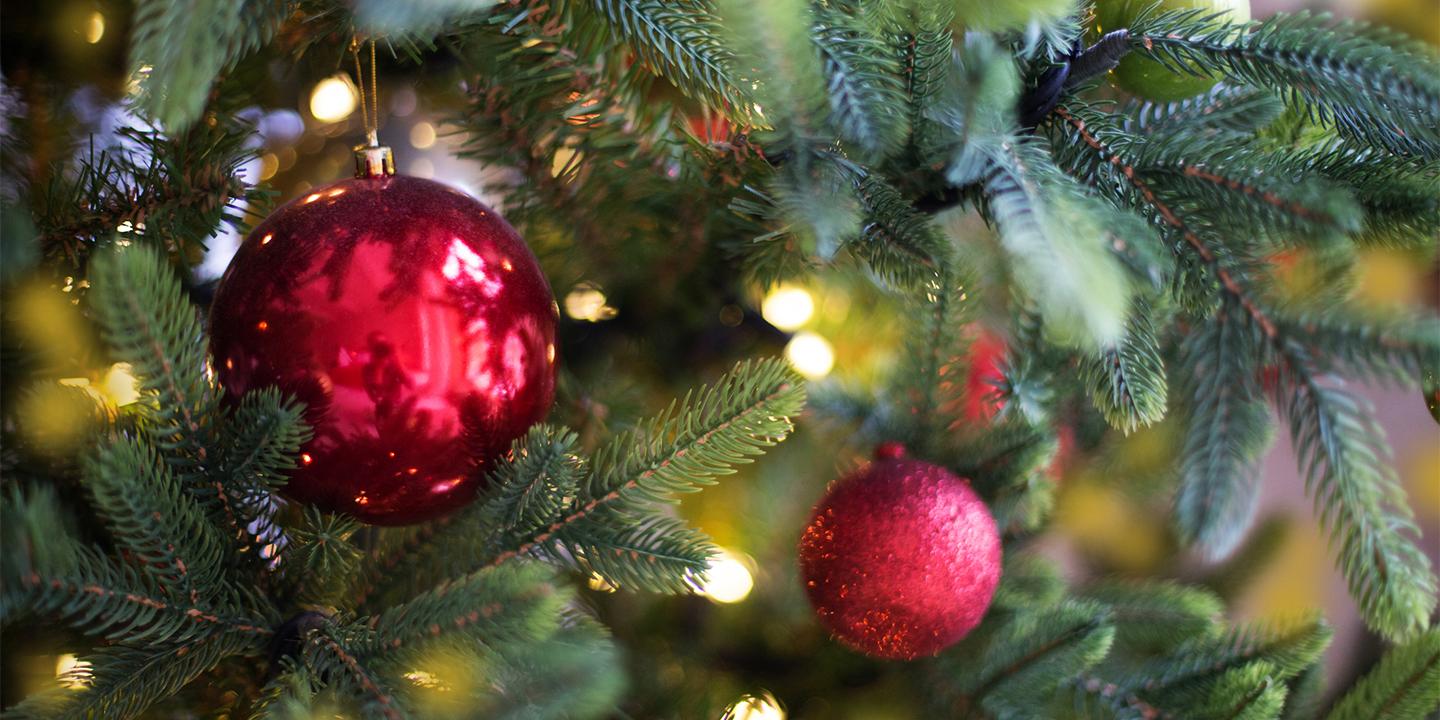 Murrells Inlet Annual Tree Lighting Ceremony